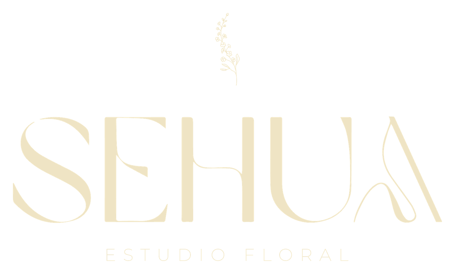 Sehua Estudio Floral